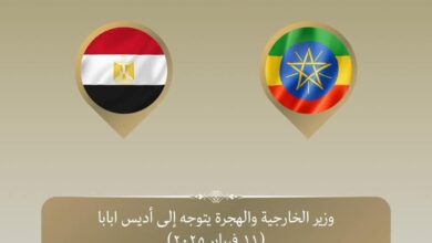 وزير الخارجية يتوجه إلى أديس أبابا لترأس الوفد المصرى المشارك في اجتماعات المجلس التنفيذي