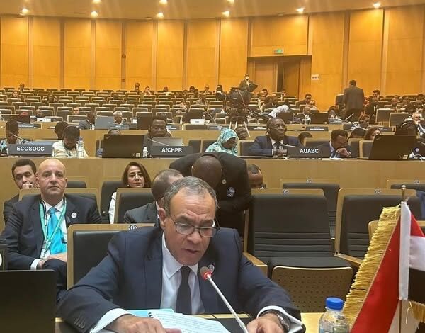 وزير الخارجية والهجرة يلقي كلمة مصر في اجتماع المجلس التنفيذي للاتحاد الإفريقي 1 وزير الخارجية والهجرة يلقي كلمة مصر في اجتماع المجلس التنفيذي للاتحاد الإفريقي