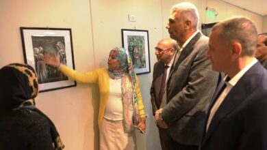 د .إسماعيل كمال يفتتح مهرجان الدولى الثانى عشر للثقافة والفنون بالمسرح الصيفى باسوان