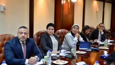 لجنة "آليات التصدي للشائعات" بالمجلس الأعلى للإعلام تعقد ثاني جلساتها