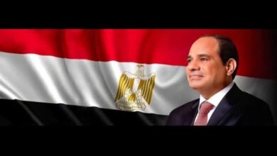 الرئيس السيسي وجوتيريش يؤكدان ضرورة الإسراع في بدء إعادة إعمار قطاع غزة