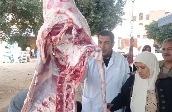 ضبط 10 طن ملح طعام مجهول المصدر ولحوم بدون أختام بالعاشر من رمضان 1 ضبط 10 طن ملح طعام مجهول المصدر ولحوم بدون أختام بالعاشر من رمضان