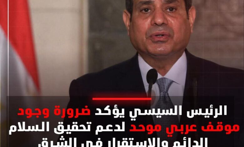 الرئيس السيسي يؤكد ضرورة وجود موقف عربي موحد لدعم تحقيق السلام في الشرق الأوسط