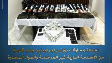 مصرع 2 وضبط 4 عناصر اجرامية شديدة الخطورة بالبحيرة والإسكندرية 
