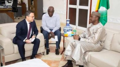 سفير جمهورية مصر العربية يلتقي مع رئيس وزراء مالي