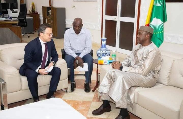 سفير جمهورية مصر العربية يلتقي مع رئيس وزراء مالي