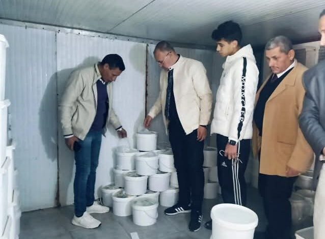 ضبط 2 طن و 500 كيلو جبن أبيض غير مدون عليها سعر البيع بدون ترخيص بديرب نجم