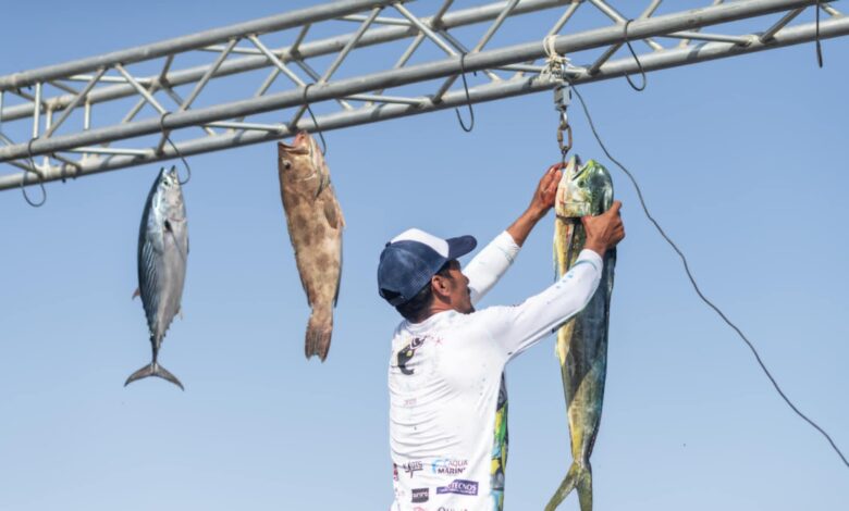 منها السعودية وإيران.. تسع دول تشارك في بطولة البحر الأحمر الدولية لصيد الأسماك في الجونة 1 منها السعودية وإيران.. تسع دول تشارك في بطولة البحر الأحمر الدولية لصيد الأسماك في الجونة