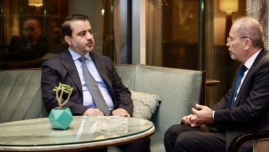 الصفدي يؤكد للشيباني موقف الأردن الداعم لسوريا