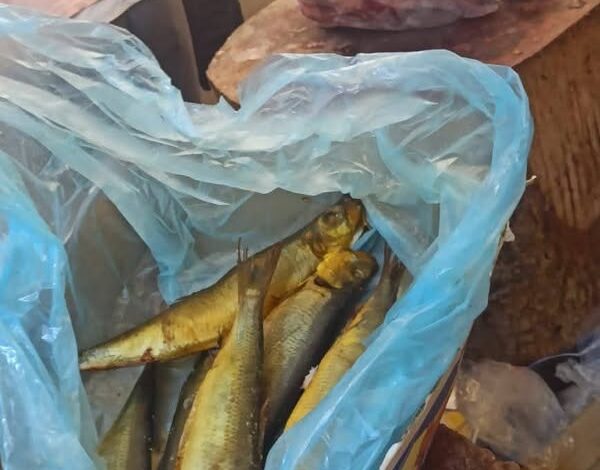 محافظ المنيا يوجه بتكثيف الحملات التموينية لضبط الأسواق وحماية صحة المواطنين 1 محافظ المنيا يوجه بتكثيف الحملات التموينية لضبط الأسواق وحماية صحة المواطنين