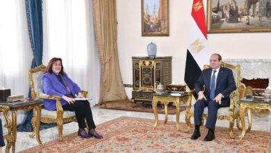 الرئيس السيسى يستقبل مفوضة الأتحاد الآوروبى لشؤون المتوسط