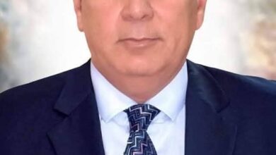 محافظ الوادي الجديد يُشيد بمبادرة "مطبخ المصرية" لدعم المرأة والأسر الأكثر احتياجًا