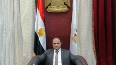 محمود عبدالعزيز : القمة العربية تمثل حدثًا محوريًا في مسيرة العمل العربي