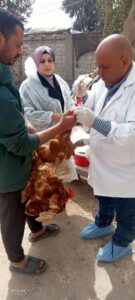 بيطري الشرقية يُحصن (٨٣ ألف و٦٦٢) طائر ضد مرض أنفلونزا الطيور 2 بيطري الشرقية يُحصن (٨٣ ألف و٦٦٢) طائر ضد مرض أنفلونزا الطيور