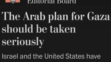 خبراء ووسائل إعلام نمساوية يشيدون بالخطة العربية لإعادة اعمار غزة وبموقف الإعلام الأمريكي