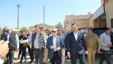 وزير الزراعة ومحافظ كفر الشيخ يتفقدون عدد من الأنشطة الزراعية بالمحافظة