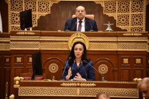 وزيرة التضامن الاجتماعي أمام الجلسة العامة بمجلس الشيوخ