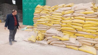 ضبط 10 طن أسمدة زراعية مجهولة المصدر بأولاد صقر   1 ضبط 10 طن أسمدة زراعية مجهولة المصدر بأولاد صقر