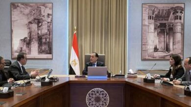 رئيس الوزراء يؤكد حرص الدولة على توطين صناعة الدواء في مصر