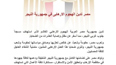 مصر تدين الهجوم الإرهابي في جمهورية النيجر