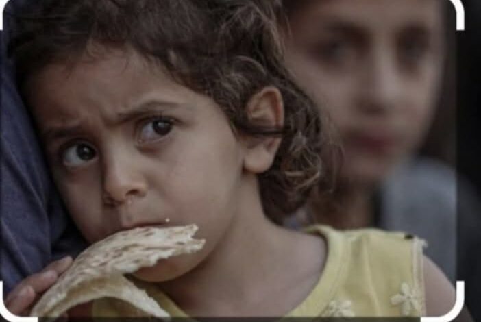 قطعة خبز جاف " 1 قطعة خبز جاف "
