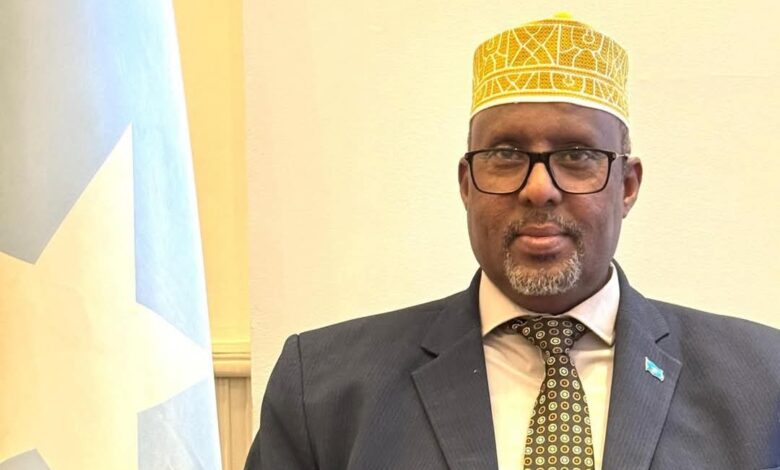 سفير الصومال لدى مصر يهنئ " أبو الغيط " بمناسبة الذكرى الثمانين لتأسيس جامعة الدول العربية 1 سفير الصومال لدى مصر يهنئ " أبو الغيط " بمناسبة الذكرى الثمانين لتأسيس جامعة الدول العربية