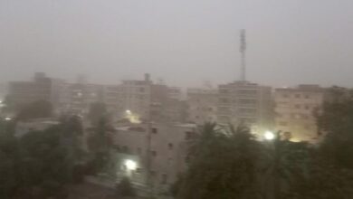 هبوب عاصفة ترابية على محافظة أسوان تحجب الرؤية بالطرق الرئيسية والداخلية