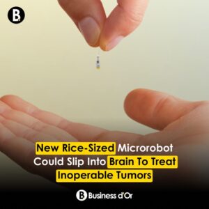 شركة فرنسية تطور روبوت بحجم حبة الأرز يتسلل إلى الدماغ لعلاج الأورام   