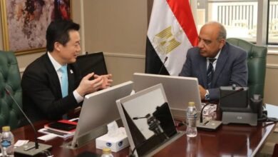 وزير الكهرباء يبحث مع شركة هواوي الصينية سبل دعم وتعزيز التعاون في مجالات الطاقة المتجددة