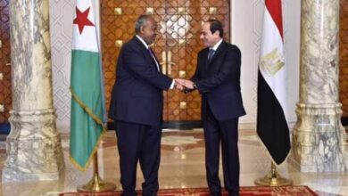 جلسة مباحثات موسعة بين الرئيس السيسى ورئيس چيبوتى