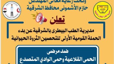 السبت القادم ... بدء إنطلاق الحملة القومية الأولى لتحصين الماشية بالشرقية