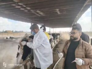 محافظ الإسماعيلية يتابع نشاط مديرية الطب البيطري للحفاظ على الثروة الحيوانية والداجنة 2 محافظ الإسماعيلية يتابع نشاط مديرية الطب البيطري للحفاظ على الثروة الحيوانية والداجنة