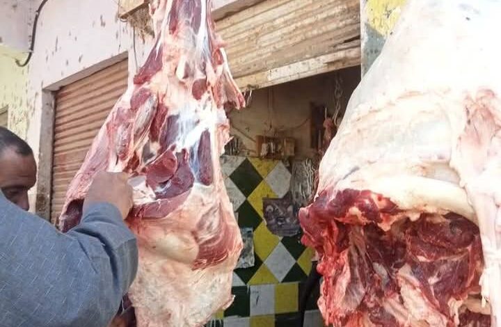 بيطرى الأقصر" يضبط ١٨٥ كيلو جرام لحوم مذبوحة خارج المجازر الحكومية بإسنا