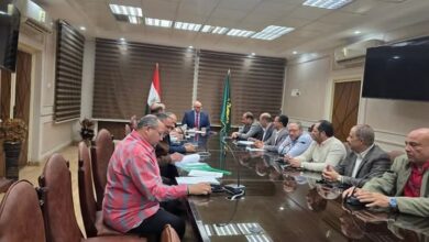 محافظ القليوبية يعتمد تعديل تعريفة الركوب بعد تحريك أسعار المواد البترولية