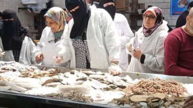 استعدادًا لأعياد القيامة المجيد وشم النسيم.. حملات رقابية مكثفة ببورسعيد