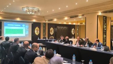 خارطة طريق بحرية جديدة: مصر تتحرك لتطبيق أقوى اتفاقيات العمل الدولي العمالة البحرية