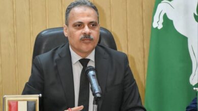 محافظ الشرقية ينعى وفاه الدكتورة هاله عبد العال أباظة مدير عام الخدمات والأنشطة بإدارة شرق الزقازيق التعليمية