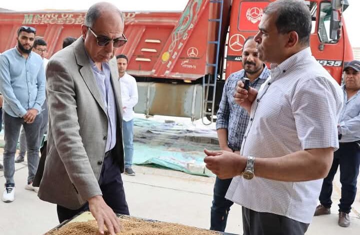 محافظه المنيا تتصدر محافظات الجمهورية في التوريد بإجمالي 38 ألف طن حتى الآن