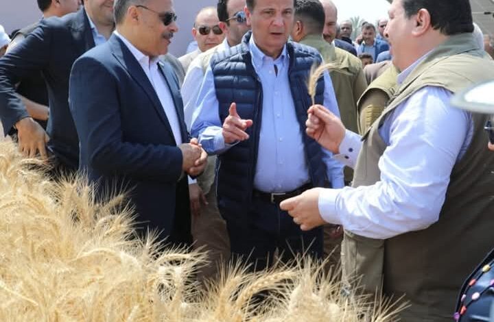 وزير الزراعة ومحافظ الشرقية يفتتحون موسم حصاد القمح بالشرقية 