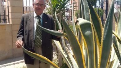 رؤية وتواصل