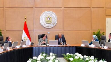 وزيرا الكهرباء والبيئة يبحثان سبل العمل المشترك في قضايا البيئة والطاقات المتجددة