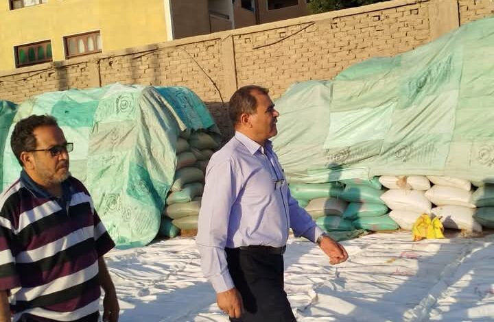 محافظ المنيا: توريد 68 ألف طن من القمح للشون والصوامع ضمن موسم حصاد 2025