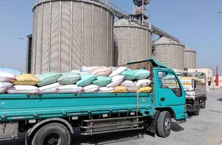 الأشموني : إنتظام سير العمل بمنظومة توريد القمح لشون وصوامع الشرقية 1 الأشموني : إنتظام سير العمل بمنظومة توريد القمح لشون وصوامع الشرقية