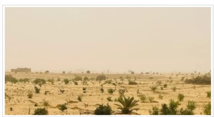 المنخفض الخماسينى.. تأثيرات العاصفة الترابية على الرؤية بالمحافظات بالأرقام 1 المنخفض الخماسينى.. تأثيرات العاصفة الترابية على الرؤية بالمحافظات بالأرقام