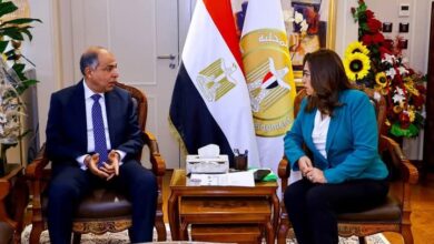 محافظ المنيا يبحث مع وزيرة التنمية المحلية المشروعات التنموية والملفات الخدمية بالمحافظة