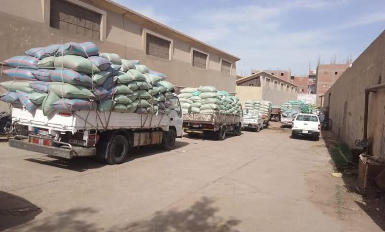 محافظ المنيا شون وصوامع المحافظة تستقبل 315 ألف طن من القمح ضمن موسم توريد 2025. 1 محافظ المنيا شون وصوامع المحافظة تستقبل 315 ألف طن من القمح ضمن موسم توريد 2025.