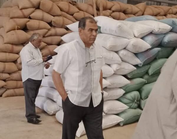 محافظ المنيا توريد 111 ألفًا و229 طنًا و560 كيلوجرامًا من القمح ضمن موسم حصاد 2025