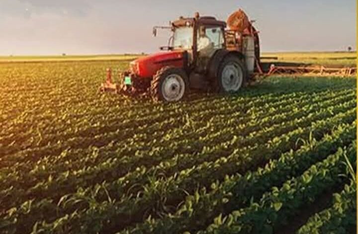 السفارة الصينية فى مصر تبرز تعاونها لاستصلاح الصحراء لزراعة القمح وتحقيق الأمن الغذائى 1 السفارة الصينية فى مصر تبرز تعاونها لاستصلاح الصحراء لزراعة القمح وتحقيق الأمن الغذائى