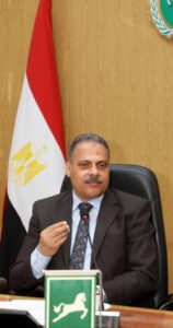 محافظ الشرقية يطمئن على نسب تنفيذ أعمال الرصف والتطوير بتركيب بلاط الإنترلوك بمنيا القمح