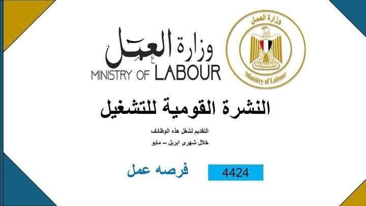 وزارة العمل: 4424 فُرصة عمل جديدة في 72 شركة خاصة تنتظر شباب 12 محافظة 1 وزارة العمل: 4424 فُرصة عمل جديدة في 72 شركة خاصة تنتظر شباب 12 محافظة